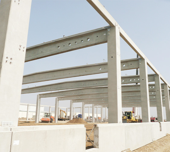 Extindere Monsanto Sinești